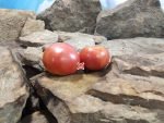 McKrackin Future City Tomato.