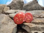 McKrackin Future City Tomato Beefsteak Tomatoes.