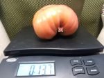 McKrackin Future City Tomato Heirloom Tomato Seeds