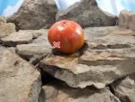 Michaels Portuguese Monster Tomato