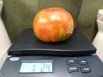Michaels Portuguese Monster Tomato Seeds