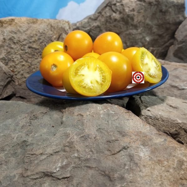 Mid Day Sun Tomato