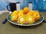 Mid Day Sun Tomato Salad Tomatoes