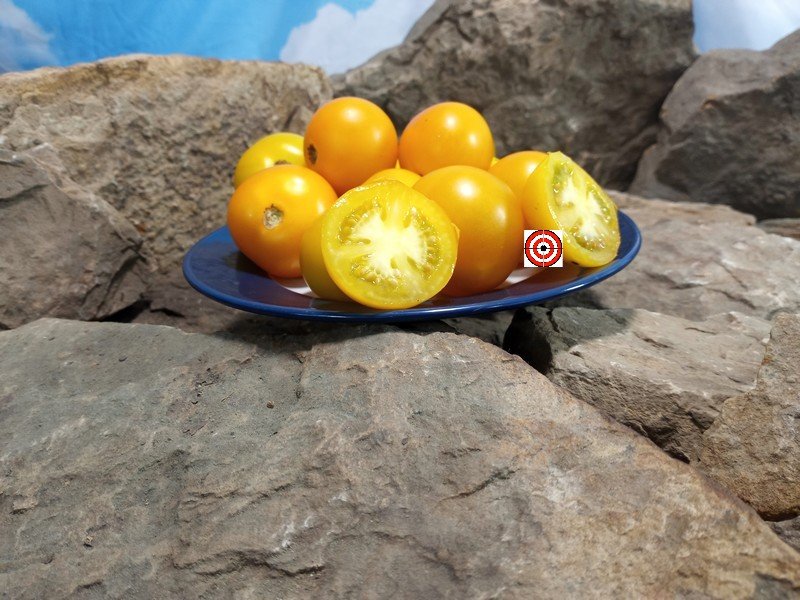 Mid Day Sun Tomato