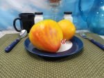 Midnight Sun Tomato Karen Olivier Tomatoes