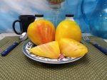 Midnight Sun Tomato Northern Gardener Tomatoes