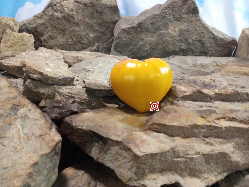 Milas Heart Tomato