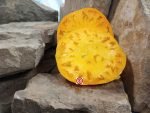 Miltons Orange Beauty Tomato Sandwich Tomatoes