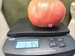 Monkey Ass Tomato