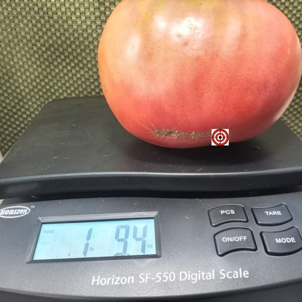 Monkey Ass Tomato