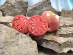 Monkey Ass Tomato Seeds