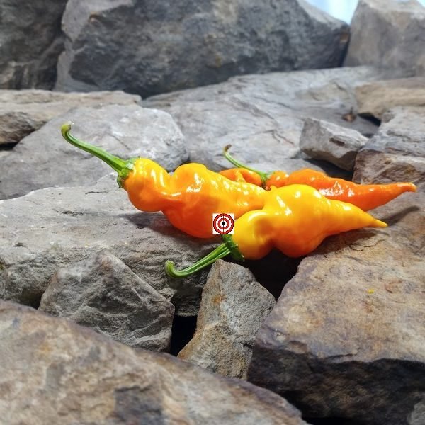 Monkey Face Yellow Pepper Seeds