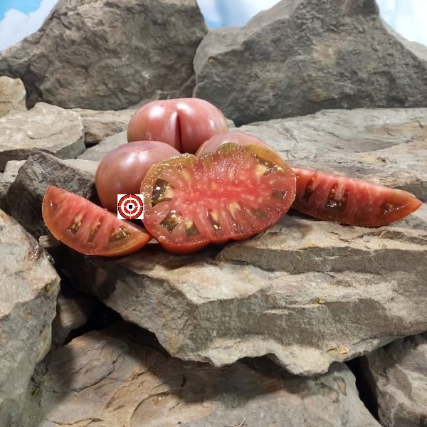 Mystery 1950 Tomato