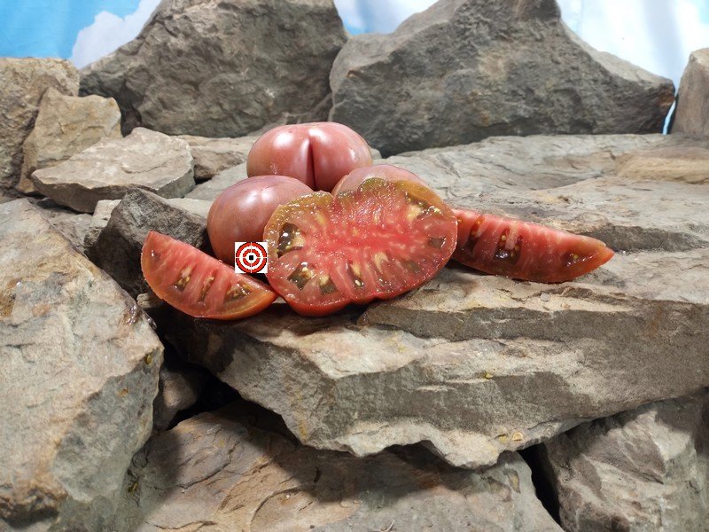 Mystery 1950 Tomato