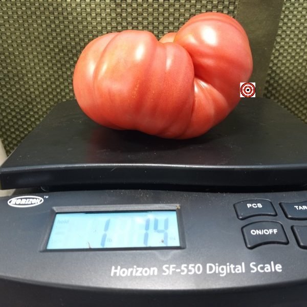 Ninas Heirloom RL Tomato