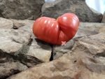 Ninas Heirloom RL Tomato Seeds