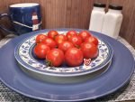 One Eyed Willie Dwarf Tomatoes