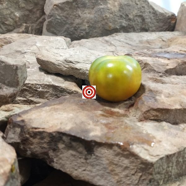 Orange Is The New Black Krim Tomato