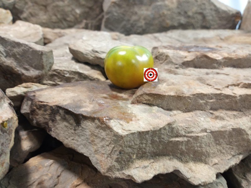 Orange Is The New Black Krim Tomato Cherry Tomatoes Orange Is The New Black Krim Tomato Cherry Tomatoes