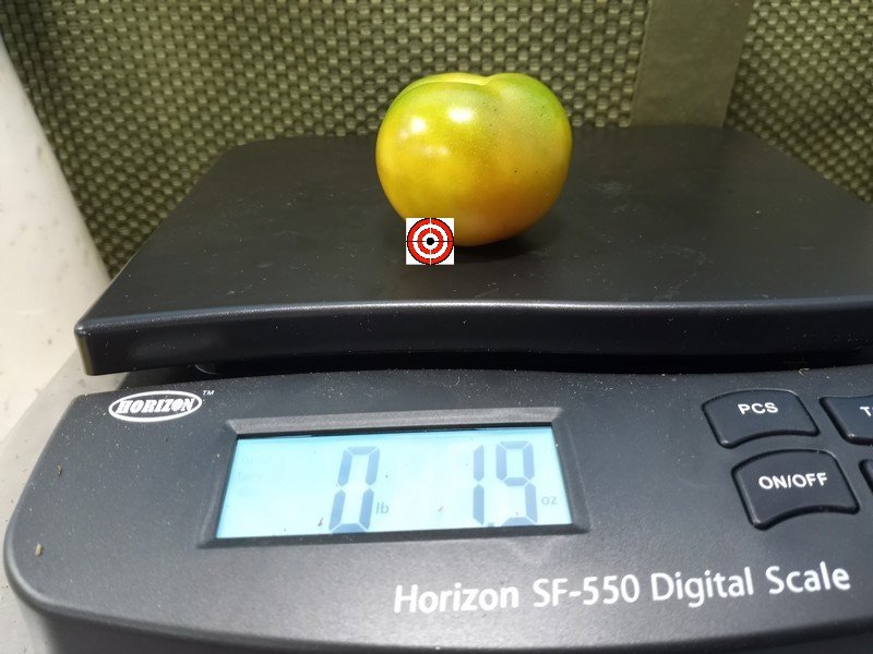 Orange Is The New Black Krim Tomato Seeds Orange Is The New Black Krim Tomato Seeds