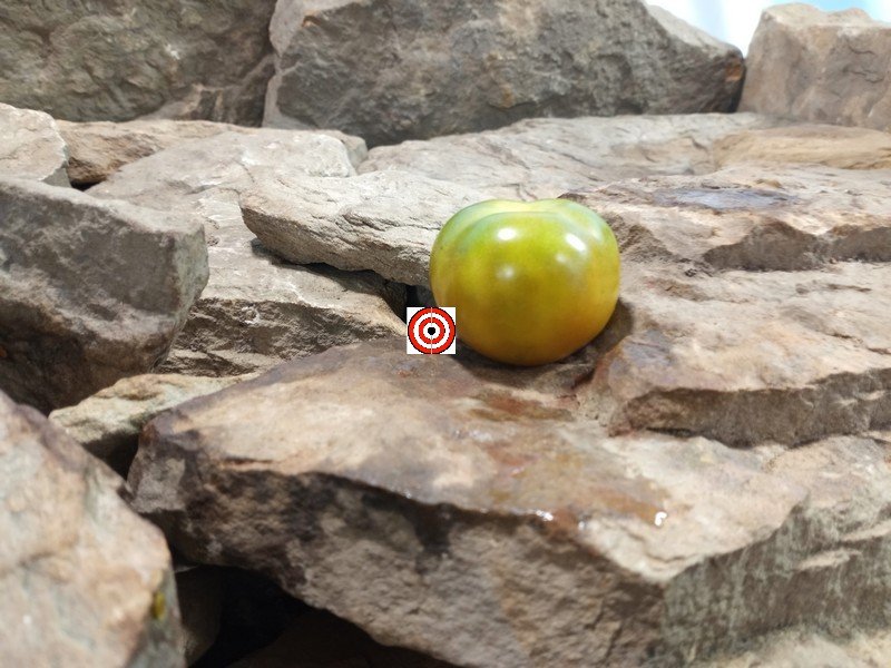 Orange Is The New Black Krim Tomato