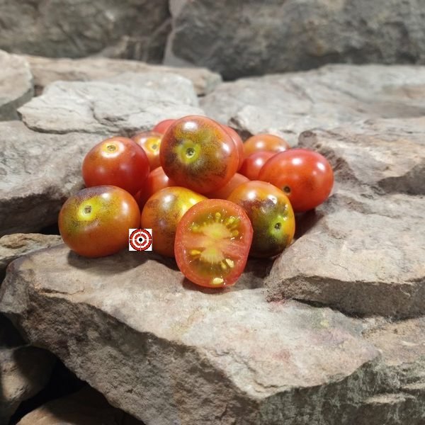 Painted Pink Tomato