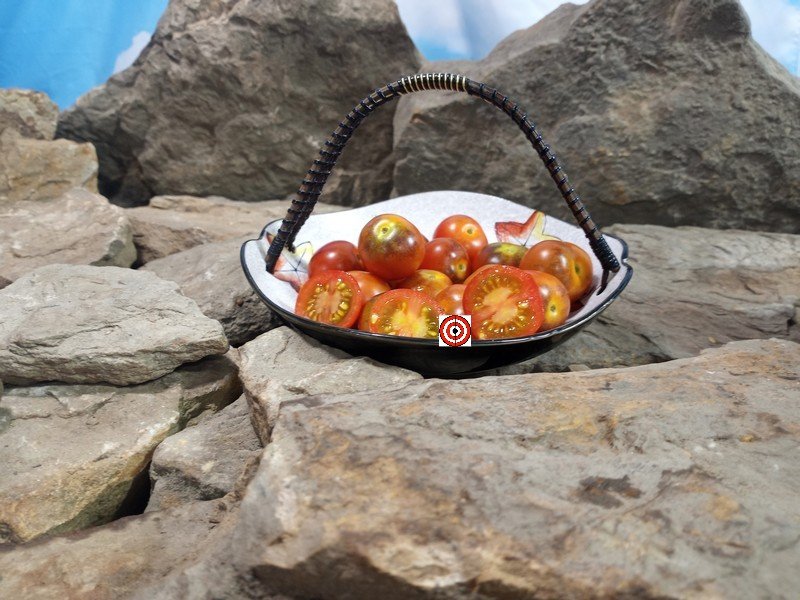 Painted Pink Tomato Cherry Tomatoes Painted Pink Tomato Cherry Tomatoes