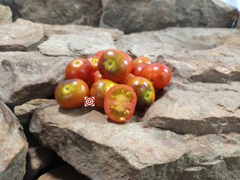 Painted Pink Tomato