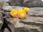 Pegs Round Orange Tomato