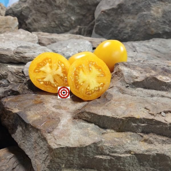 Pegs Round Orange Tomato