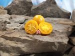 Pegs Round Orange Tomato Seeds