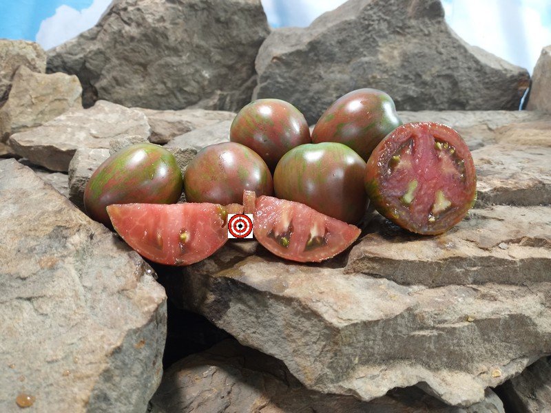 Pick Scorfa Tomato Black Tomatoes Pick Scorfa Tomato Black Tomatoes