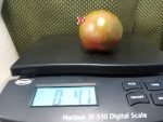 Pick Scorfa Tomato Seeds