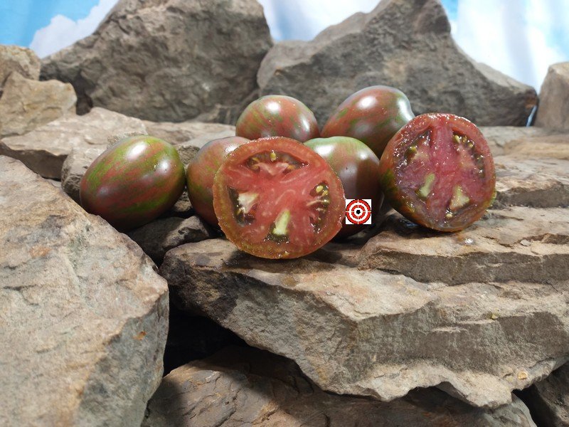 Pick Scorfa Tomato Striped Tomatoes Pick Scorfa Tomato Striped Tomatoes