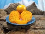 Pike County Yellow Tomato