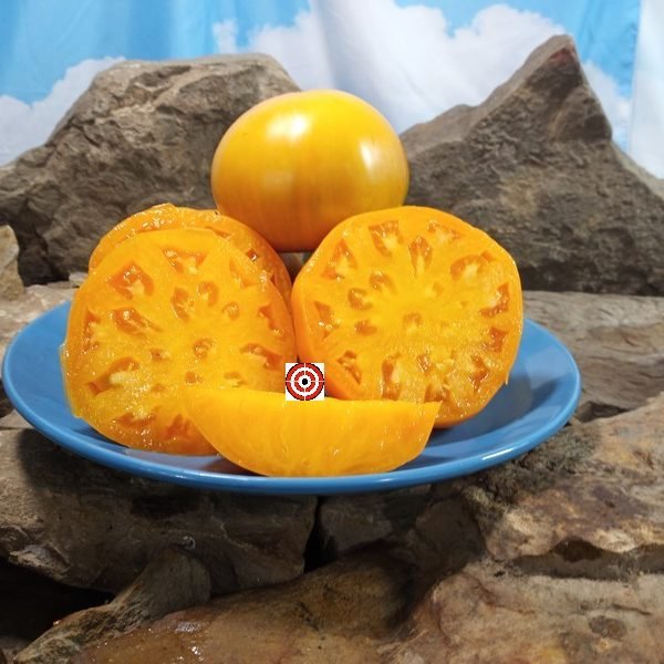 Pike County Yellow Tomato