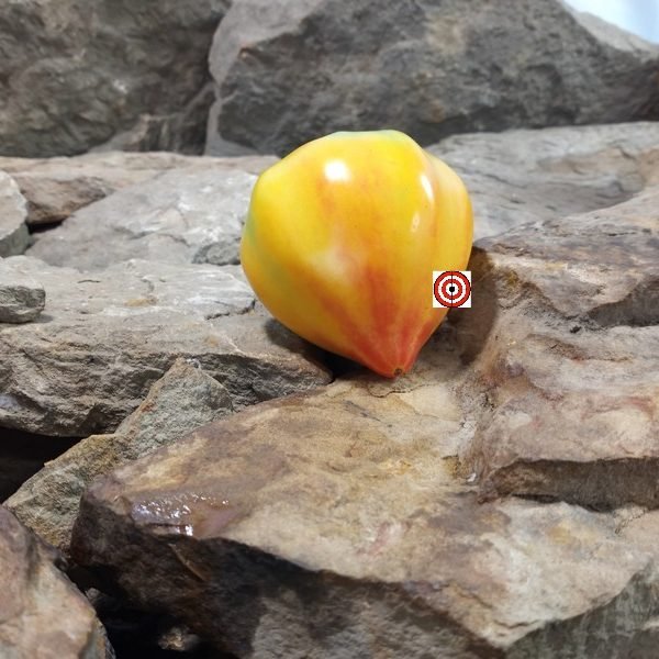 Pineapple Oxheart Tomato