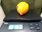 Pineapple Oxheart Tomato Bicolored Tomatoes