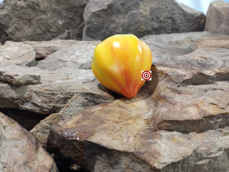 Pineapple Oxheart Tomato