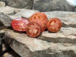 Princess Gothic Tomato Seeds