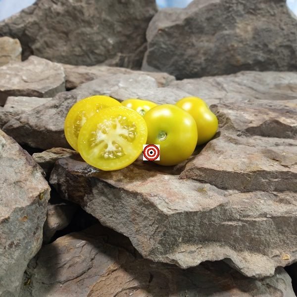 Prize Of Trails Tomato