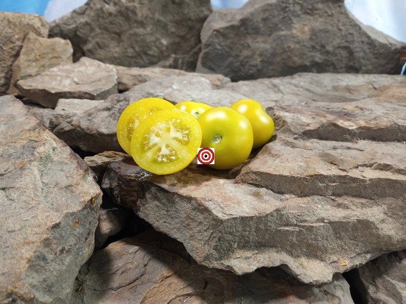 Prize Of Trails Tomato