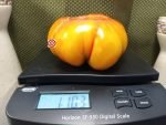 Rameses Tomato Millard Murdock Tomatoes
