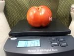 Rawlings Tomato Seeds