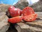 Rawlings Tomato Slicing Tomatoes