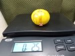 Rebel Starfighter Kaliegh Ann Tomato Mid-season Tomatoes