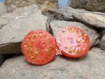 Red Ryder Dwarf Tomato Seeds