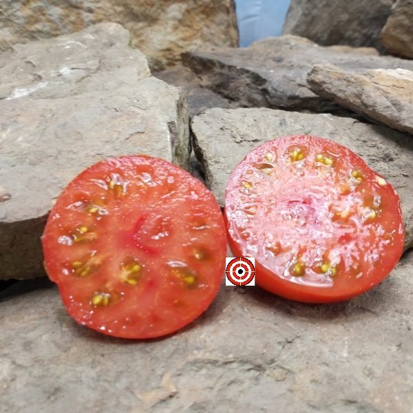 Red Ryder Dwarf Tomato Seeds