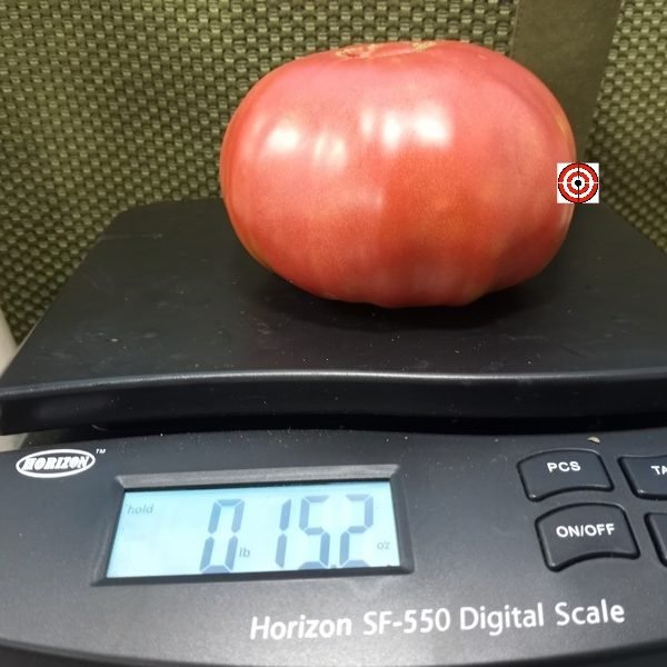 Rosalies Big Rosy Tomato