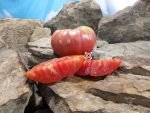 Rosalies Big Rosy Tomato Beefsteak Tomatoes